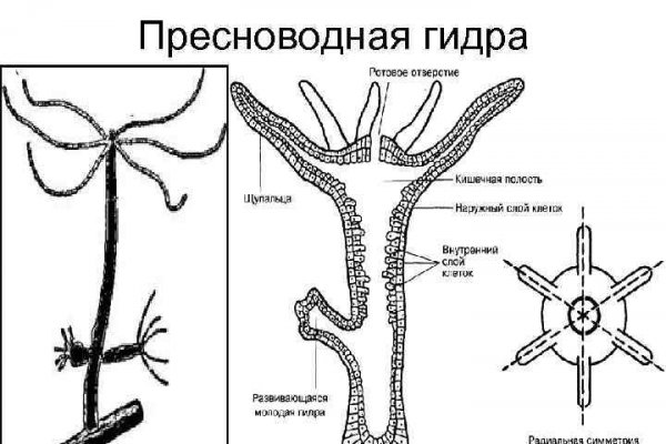 Нарко маркетплейс