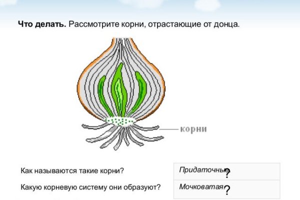 Kraken ссылка для тору